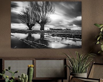 Knotwilgen,Wind, Water, Spiegeling. van Frank Slaghuis