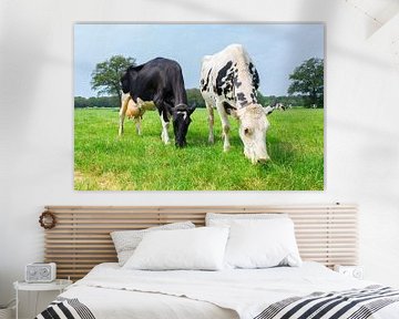 Twee koeien grazen in groene hollandse wei van Ben Schonewille