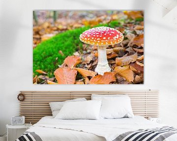Vliegenzwam paddenstoel met bladeren en mos in bos van Ben Schonewille