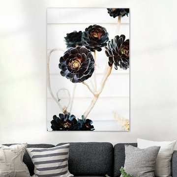 Floral botanical floral print by Raisa Zwart Travel Photography Prints