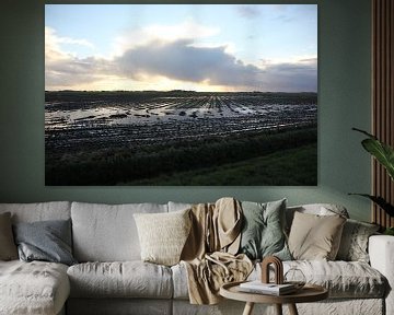 Texel Landschap 054 sur Starworks:  LinaLena van der Star