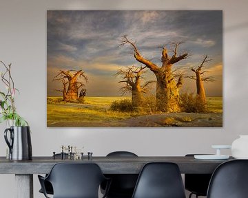 Baobabbäume in Botswana von Chris Stenger