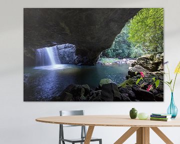 Natural Bridge, Springbrook National Park, New South Wales, Australie sur Willem Vernes