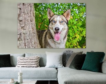 Portret husky hond naast boomstam in natuur