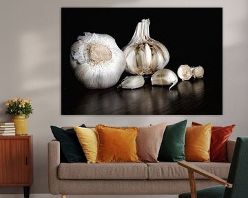 Still life in monochrome with garlic on a dark background