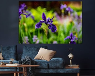 Bloementuin met paars blauwe bloem in de natuur