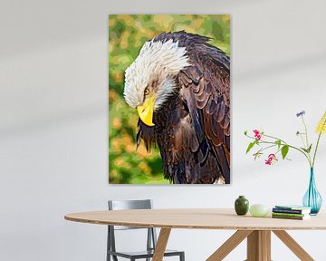 Bald eagle van Leopold Brix