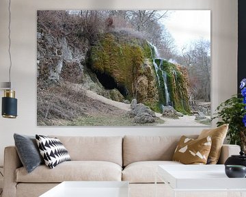 Colors of Nature by Melissa Witte