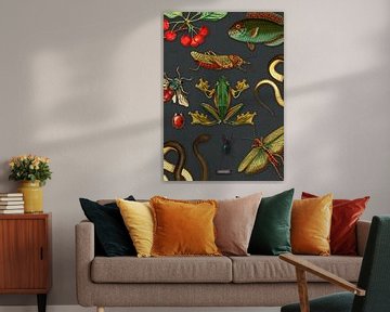 Tableau noir tropical avec reptiles et insectes sur Studio POPPY