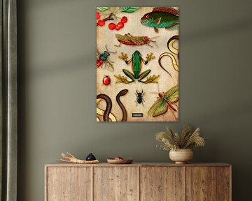 Tropische Wandtafel mit Reptilien und Insekten von Studio POPPY