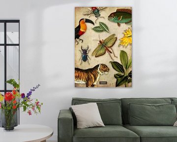 Tableau noir tropical avec des oiseaux, des poissons et des animaux de la jungle. sur Studio POPPY
