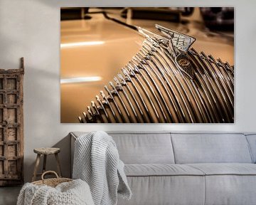 Chrysler grille met baleinen en hood ornament van autofotografie nederland