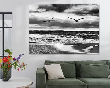 Vliegende vogels op het strand van de Oostzee in zwart-wit van Ralf Lehmann