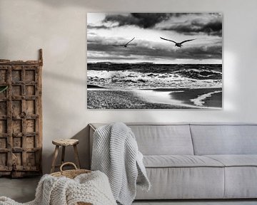 Fliegende Vögel am Ostseestrand in schwarz-weiß von Ralf Lehmann