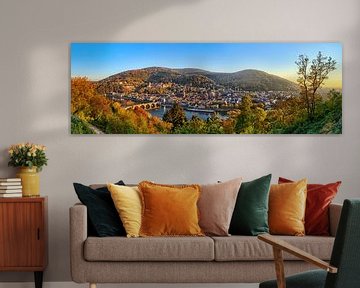 Panorama Heidelberg