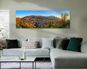 Heidelberg Panorama von Uwe Ulrich Grün