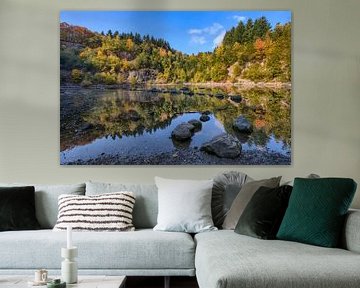 Katzenbuckelsee Südufer im Herbst von Uwe Ulrich Grün