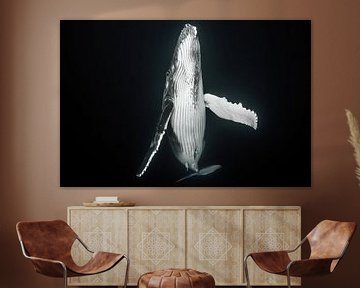 Een pasgeboren walvis komt boven om de longen met verse lucht te vullen van Koen Hoekemeijer