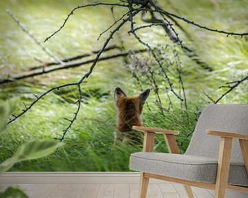Fox seen from behind by Inge van den Brande