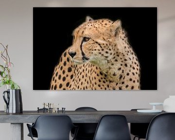 Cheetah, Jachtluipaard in portret