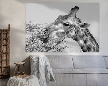 Etende Giraffe van Marjo Snellenburg