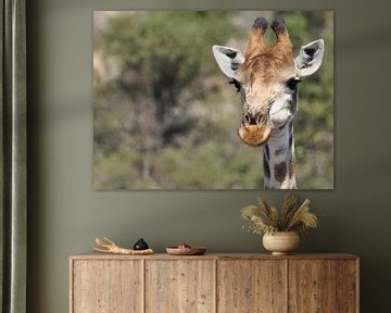 Portret Giraffe op de Savanne van Marjo Snellenburg
