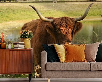 Schotse Hooglander in de Bossen