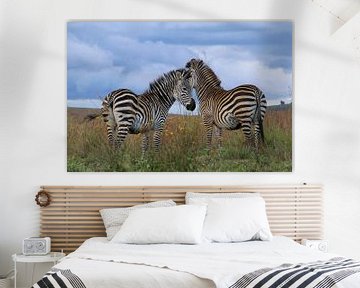 Afrikaanse zebra van Geert Neukermans