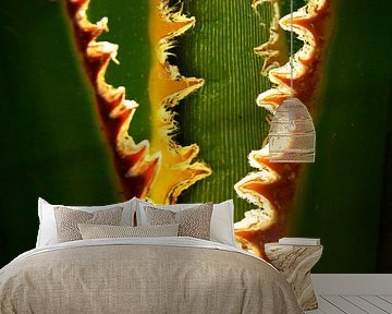 Palmboom van Harrie Muis