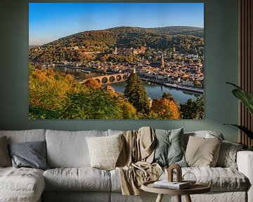 Heidelberg aan de rivier de Neckar van Uwe Ulrich Grün