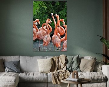 Florisante Flamingo's van DoDiLa Foto's