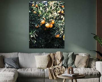 Orangen | Schwermütige bunte Reisefotografie | Botanische grüne Wand mit Orangen von Raisa Zwart