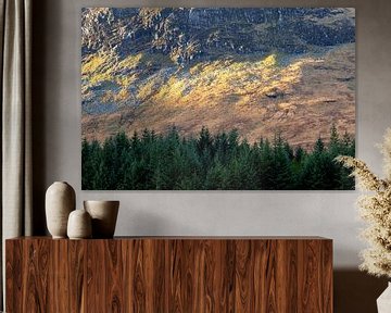 Herbstliche Farben in den schottischen Highlands beim Wandern auf dem West Highland Way im Herbst von Guido Boogert