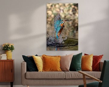 IJsvogel