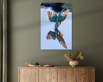 kingfisher by Han Peper
