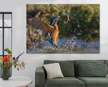 Kingfisher by Han Peper