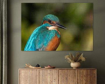 Kingfisher von Han Peper