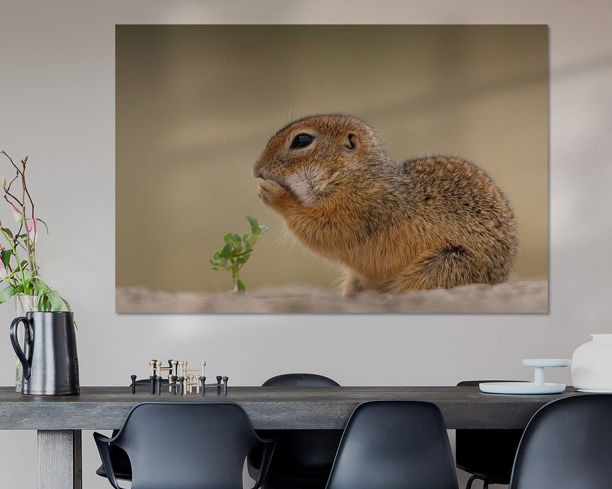 Voorbeeld van het werk in een kamer