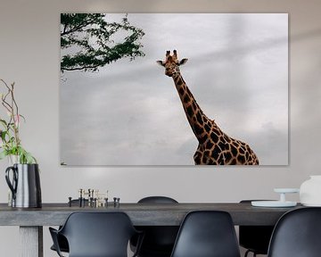 Chewing Giraffe by Carmen van Dijken