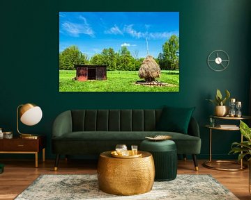 Hayshack and meadow in the Spreewald area, Germany van Rico Ködder