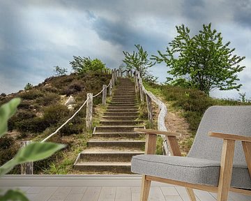 Landscape with trees and rocks in the Harz area, Germany by Rico Ködder