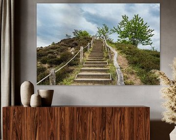 Landscape with trees and rocks in the Harz area, Germany sur Rico Ködder