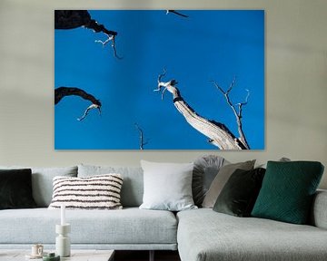 Strak blauwe lucht met dode bomen by Sense Photography