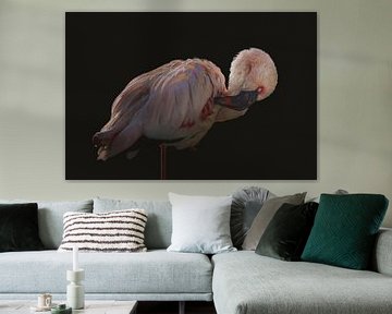 The pink flamingo by Elianne van Turennout