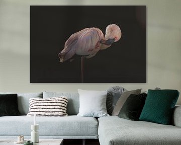 De roze Flamingo van Elianne van Turennout