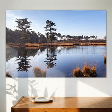 Reflecties bij de Overasseltse en Hatertse vennen