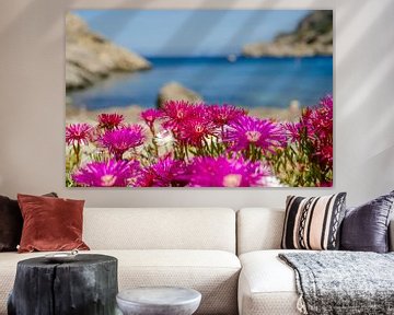 Bloemen aan de baai van Sant Miquel