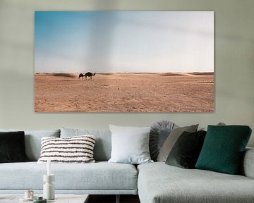 Kamelen in Marokko van Andy Troy