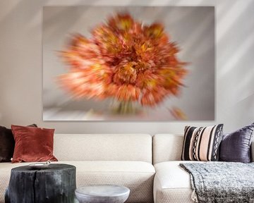 Explosion of Tulips van Roland de Zeeuw fotografie