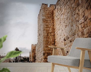 Stadsmuur Jeruzalem van Lauri Miriam van Bodegraven